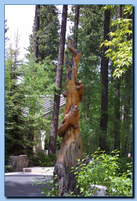 2-40 vertical squirrel collage-archive-0002